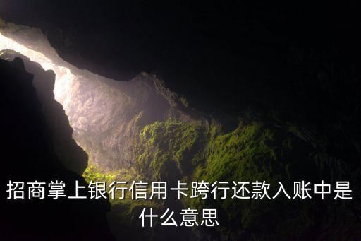 招商掌上银行信用卡跨行还款入账中是什么意思