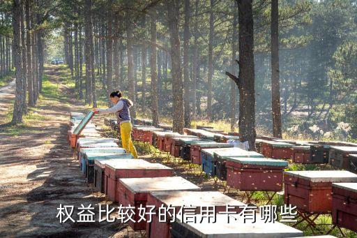 权益比较好的信用卡有哪些
