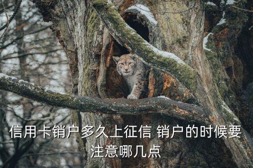 信用卡销户多久上征信 销户的时候要注意哪几点