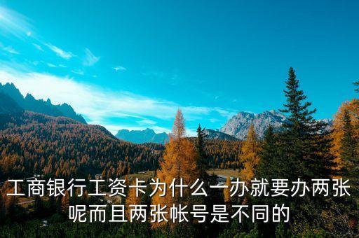 工商银行工资卡为什么一办就要办两张呢而且两张帐号是不同的