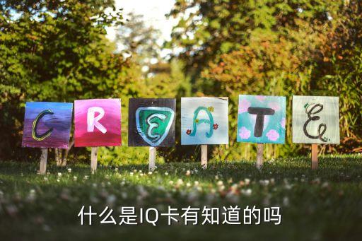 什么是IQ卡有知道的吗