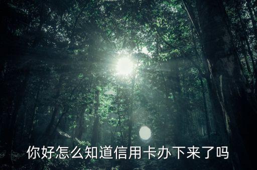 你好怎么知道信用卡办下来了吗