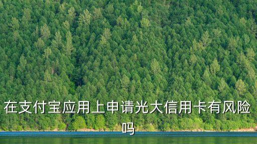 光大信用卡有什么风险等级，信用卡有什么风险