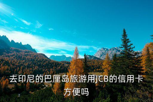 去印尼的巴厘岛旅游用JCB的信用卡方便吗