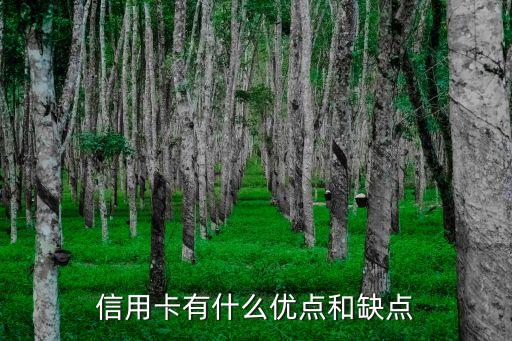 信用卡有什么优点和缺点