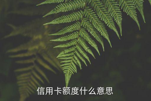信用卡额度什么意思