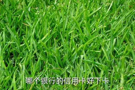 哪个银行的信用卡好下卡