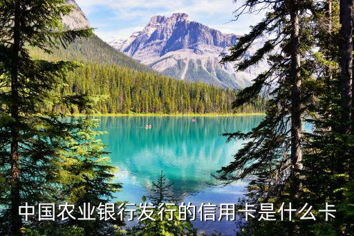 中国农业银行发行的信用卡是什么卡