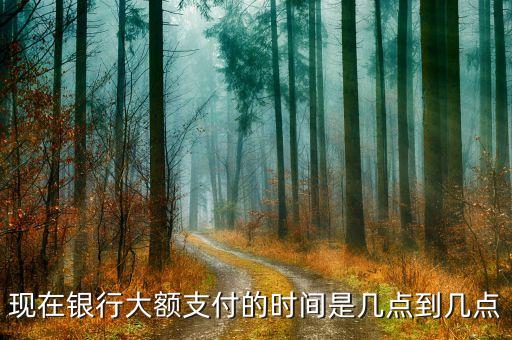 现在银行大额支付的时间是几点到几点