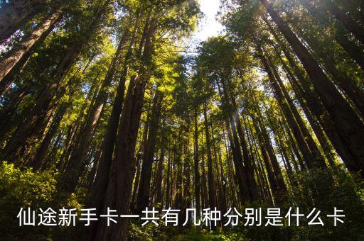 信用卡新手卡是什么，这客服还真搞笑何谓新手卡