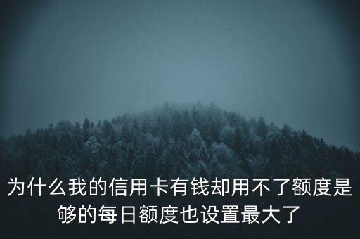 为什么我的信用卡有钱却用不了额度是够的每日额度也设置最大了