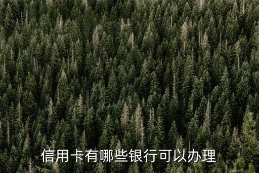 信用卡有哪些银行可以办理