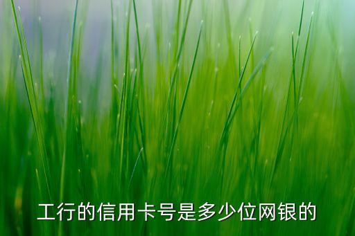 工行的信用卡号是多少位网银的