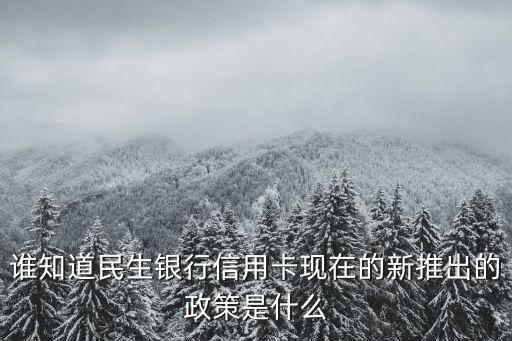 谁知道民生银行信用卡现在的新推出的政策是什么