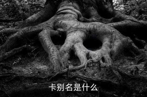 卡别名是什么