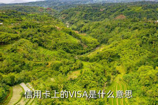 信用卡上的VISA是什么意思