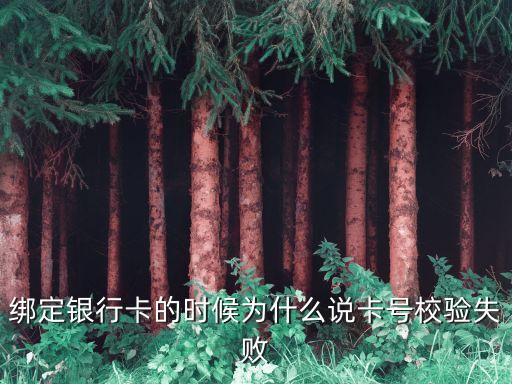 信用卡校验失效什么意思，绑定银行卡的时候为什么说卡号校验失败