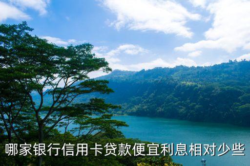 哪家银行信用卡贷款便宜利息相对少些