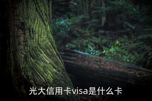 光大信用卡visa是什么卡