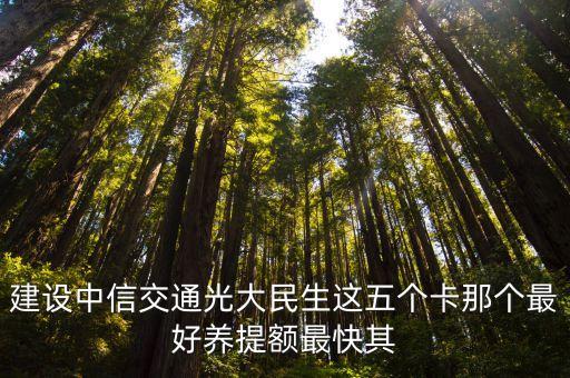 什么卡信用卡好养，请高手指导3张信用卡具体养哪张好啊