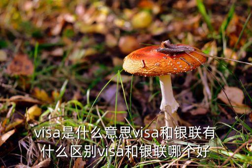 visa是什么意思visa和银联有什么区别visa和银联哪个好