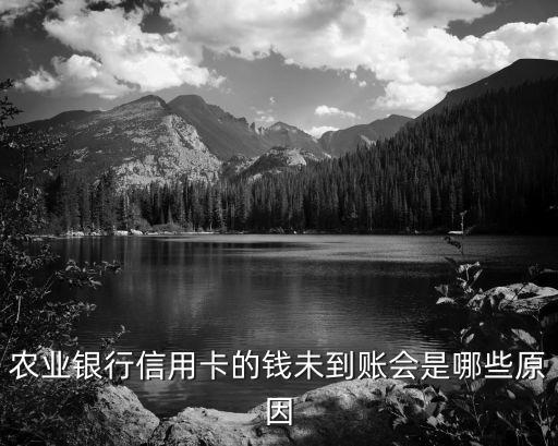农业银行信用卡的钱未到账会是哪些原因