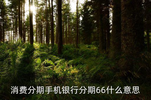 消费分期手机银行分期66什么意思