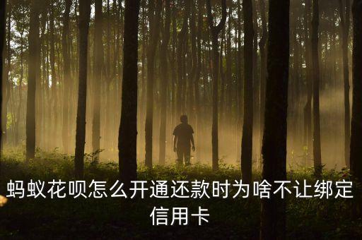 蚂蚁花呗怎么开通还款时为啥不让绑定信用卡