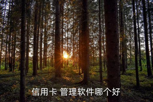 信用卡 管理软件哪个好