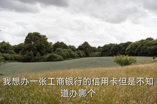 我想办一张工商银行的信用卡但是不知道办哪个