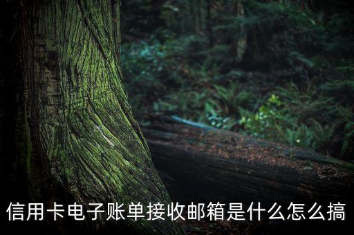 信用卡电子账单接收邮箱是什么怎么搞
