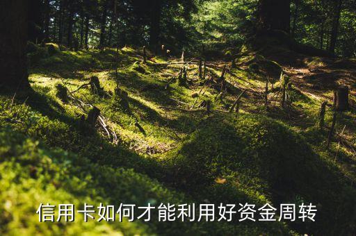 信用卡资金周转规定是什么，中国人民银行信用卡使用周转期是多少天
