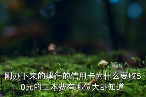 刚办下来的建行的信用卡为什么要收50元的工本费有哪位大虾知道