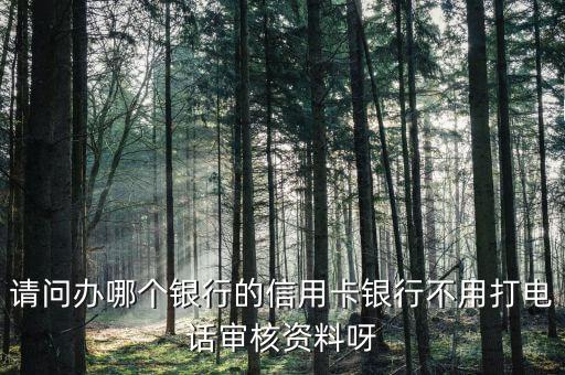 请问办哪个银行的信用卡银行不用打电话审核资料呀