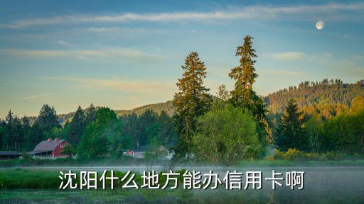 什么地信用卡，沈阳什么地方能办信用卡啊