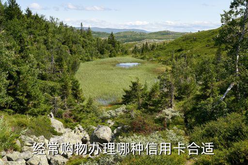 经常购物办理哪种信用卡合适