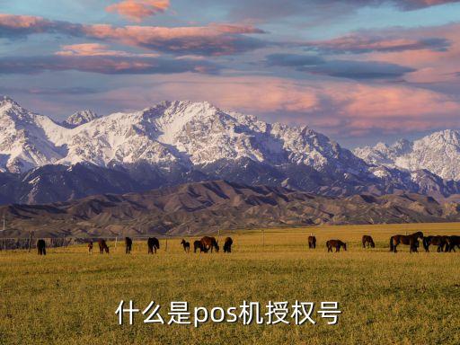 信用卡授权号是什么，授权号是什么啊 中国建设银行