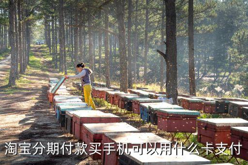 淘宝分期付款买手机可以用什么卡支付
