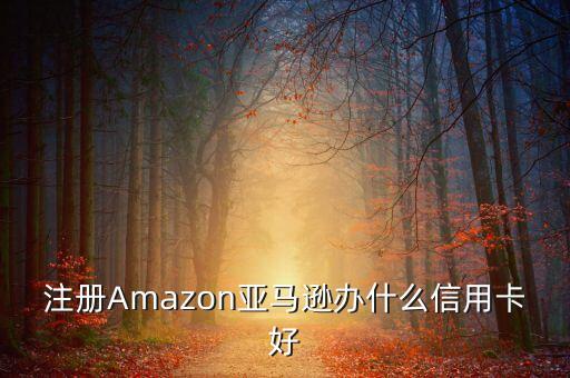 prime用什么信用卡，美亚用什么银行卡才能支付