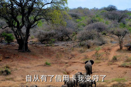 自从有了信用卡我变穷了