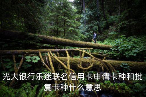 光大银行乐迷联名信用卡申请卡种和批复卡种什么意思