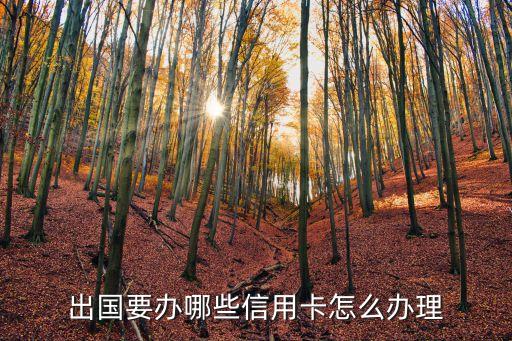 出国要办哪些信用卡怎么办理