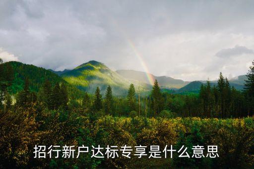 招行新户达标专享是什么意思