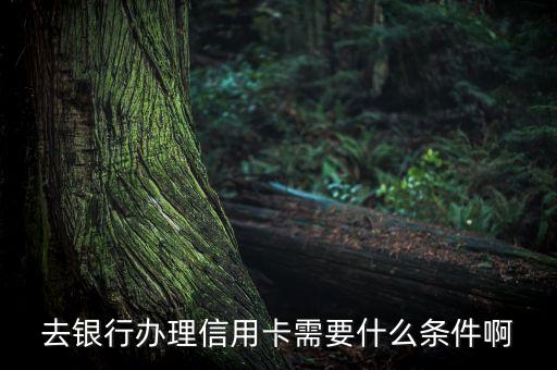 信用卡审核什么条件，银行审核信用卡申请资料有哪些标准