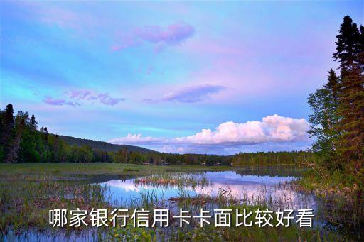 哪家银行信用卡卡面比较好看