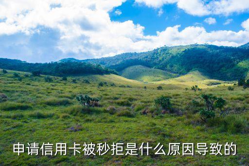 申请信用卡被秒拒是什么原因导致的