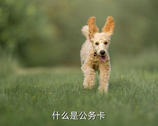 什么是公务卡