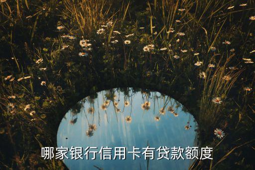 哪家银行信用卡有贷款额度