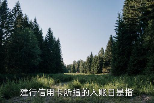 建行信用卡所指的入账日是指