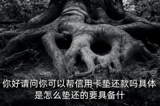 你好请问你可以帮信用卡垫还款吗具体是怎么垫还的要具备什